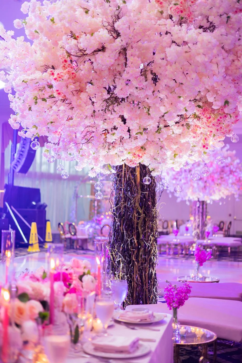 quinceanera-3